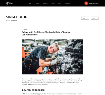 Article Details Light Version