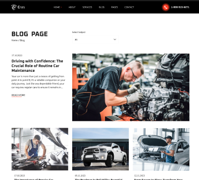 Articles Light Version