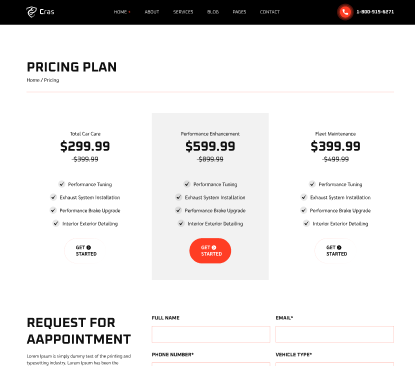 Pricing Plan Light Version